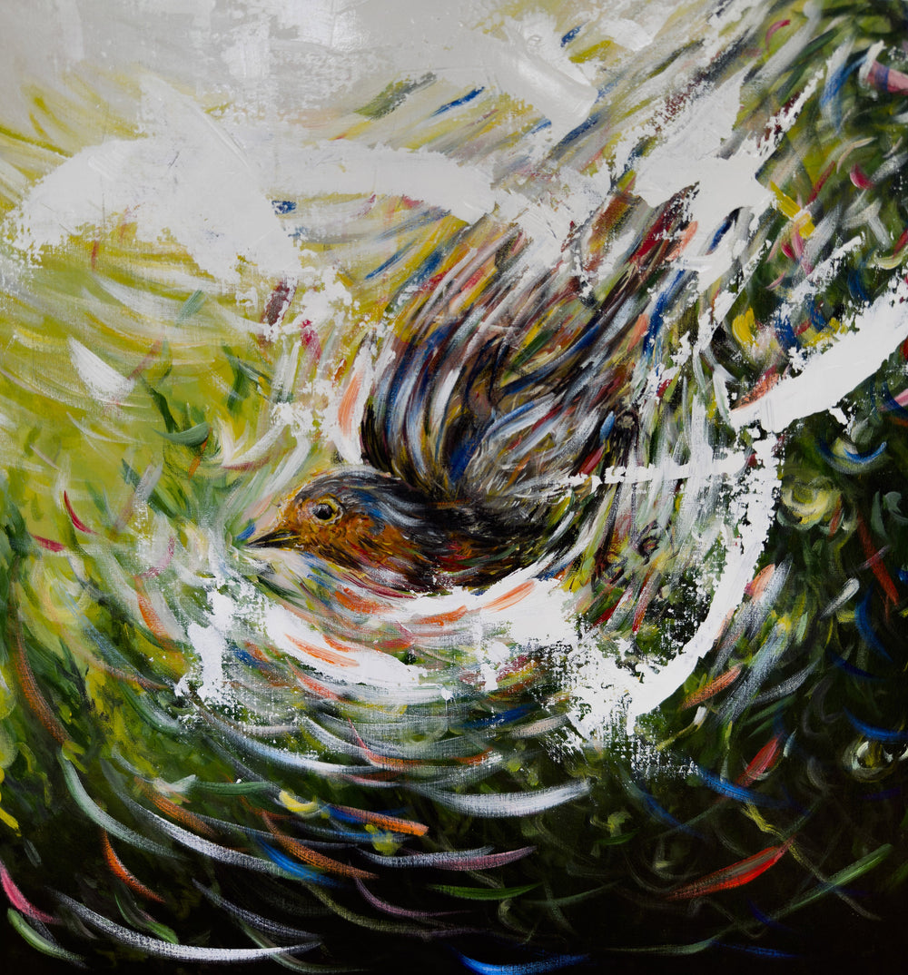 original painting of a robin redbreast by Northern Irish artist Peter Gray.