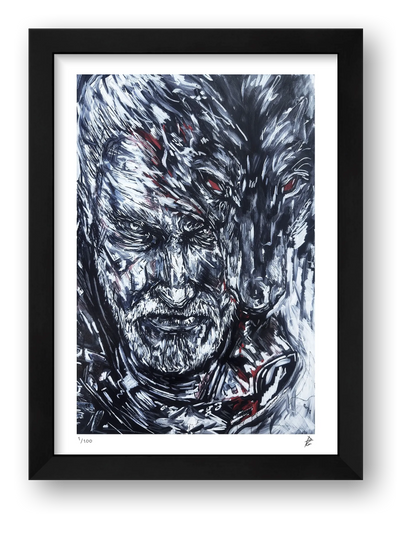 The Witcher — framed