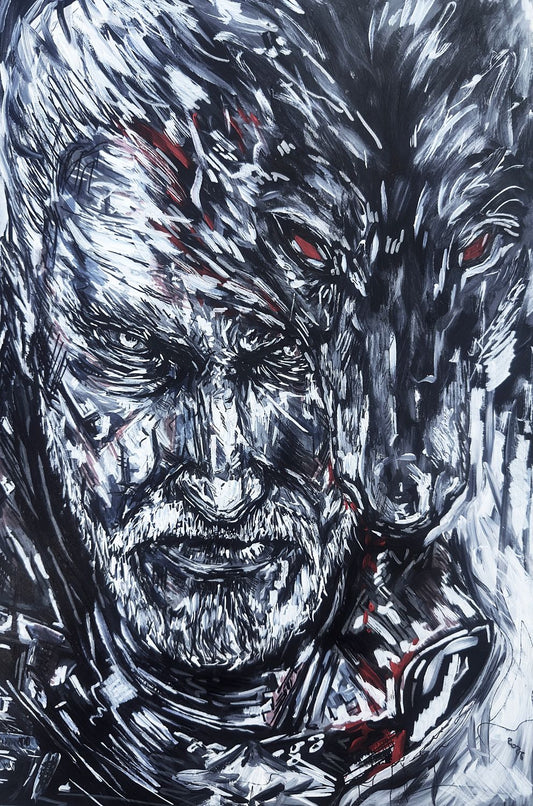 The Witcher